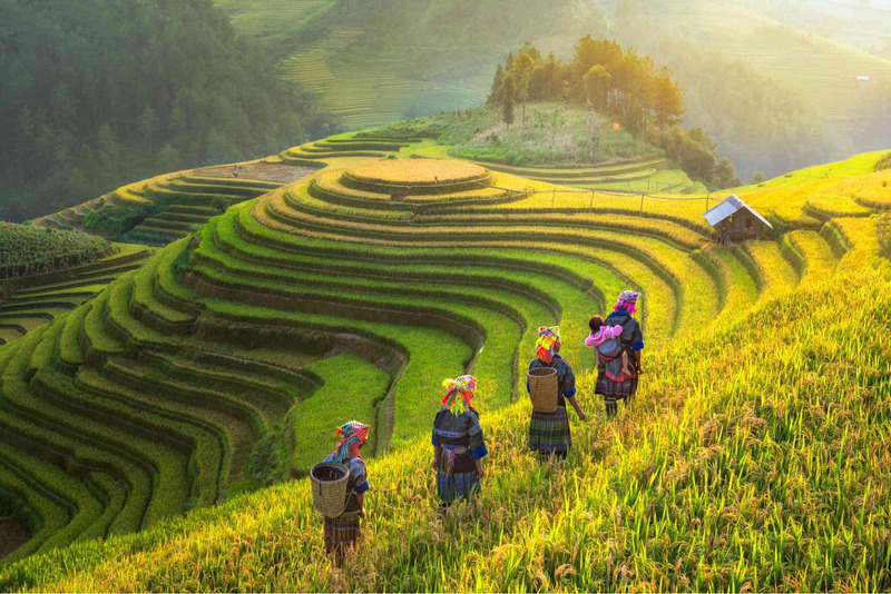 Vietnam tourism attracts tourists with dreamlike roads and scenery